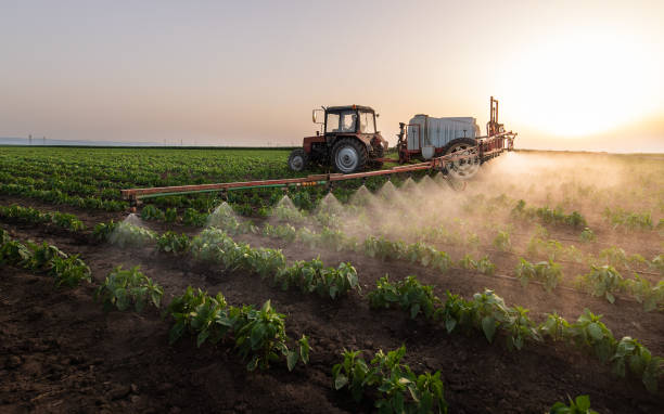 Best Insect Control  in North Liberty, IA