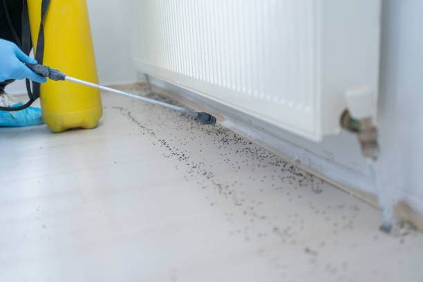 Best Wildlife Control Services  in North Liberty, IA
