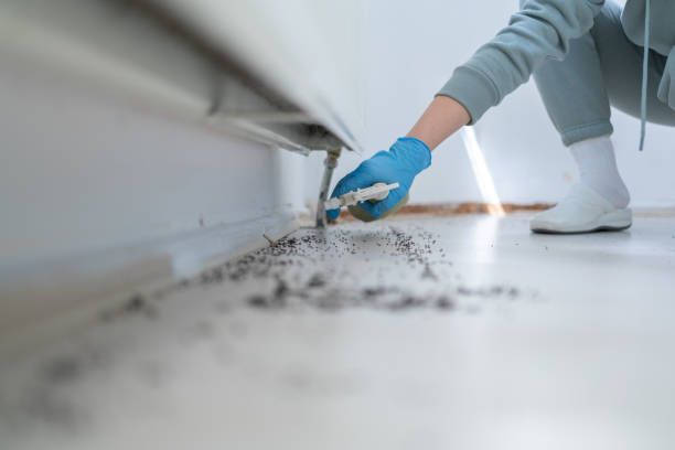 Best Rodent Control Near Me  in North Liberty, IA